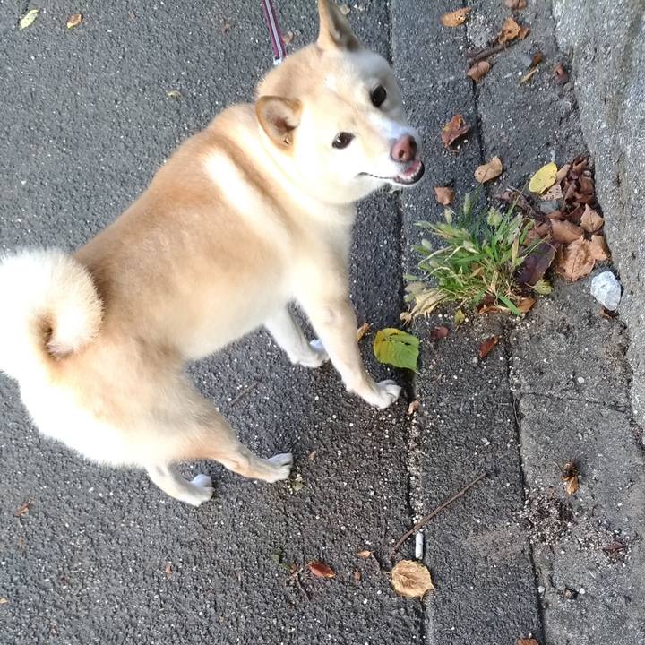 68585031 5023 4dfd bf35 8db48aac33fc 1598307705581