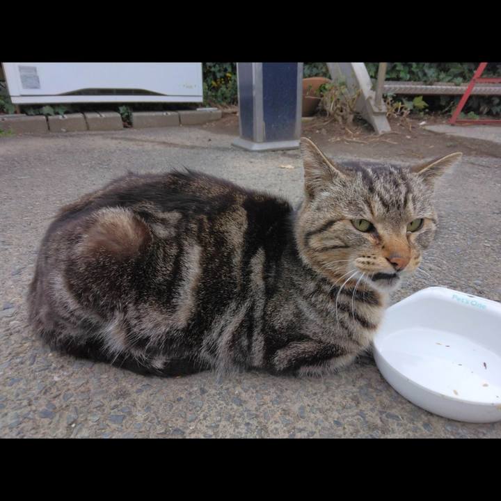 68586c04 3398 4d52 be54 cfb96e3a1f7b 1679054557743