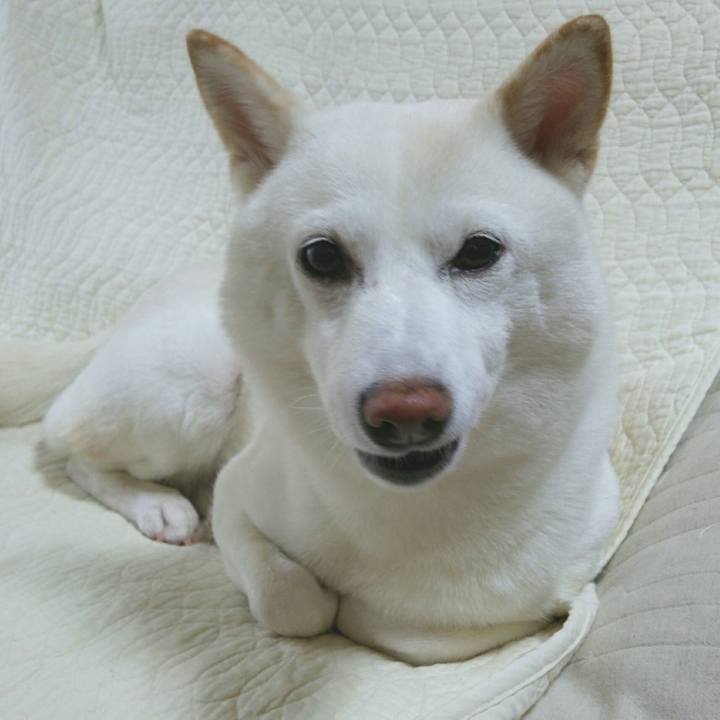 68588e98 77a5 4e4f b153 cfb68a12a34e 1562893846117