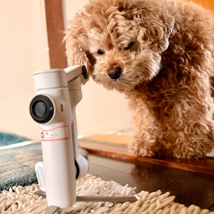 6858b80b d013 4d1f aa89 9f6b6e0d4f22 1768010473560