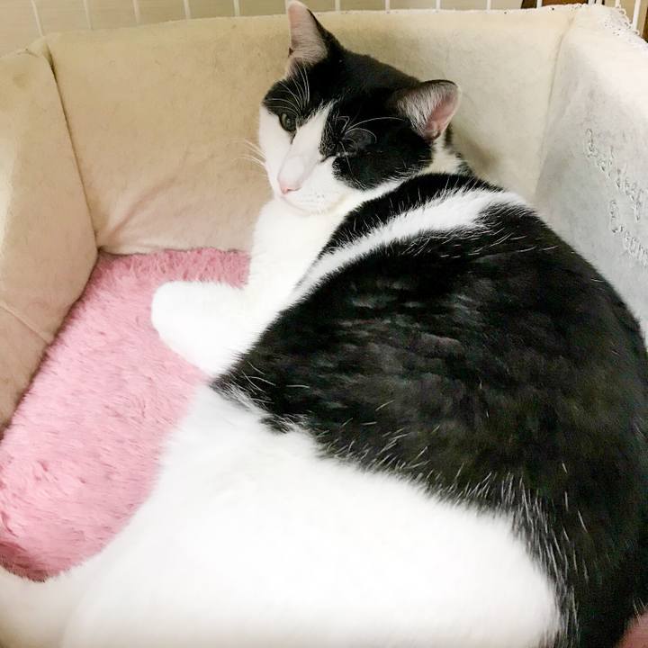 6858f63b 9380 4607 b48c 2ba2eb2a19a6 1517448597276