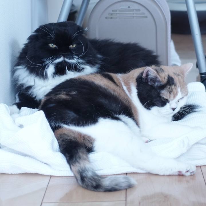 68591f3d 2002 4591 bacb b2ef414d2f7e 1512005243178