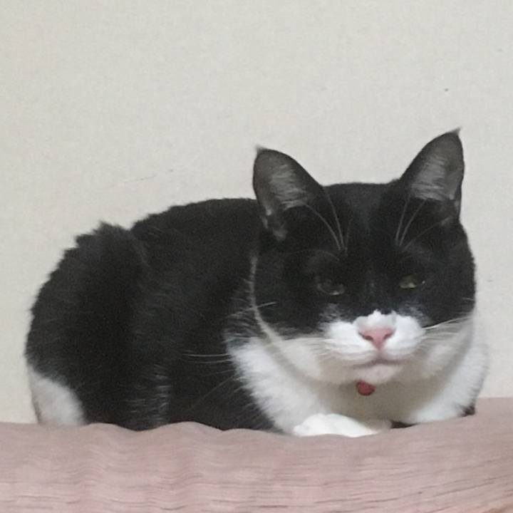 68594b99 c374 4e55 b05b 5d7b83115b74 1602656979004