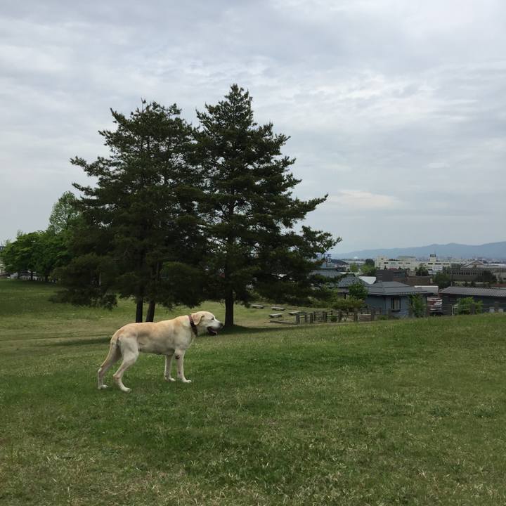 68594bdb 3e15 440c b3d9 77c518e006b3 1525237852858