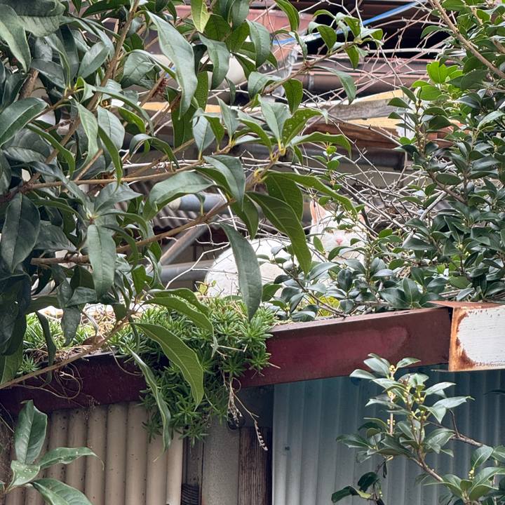 68597145 c0dd 44bb b1b5 3d630fbdc595 1762310872550