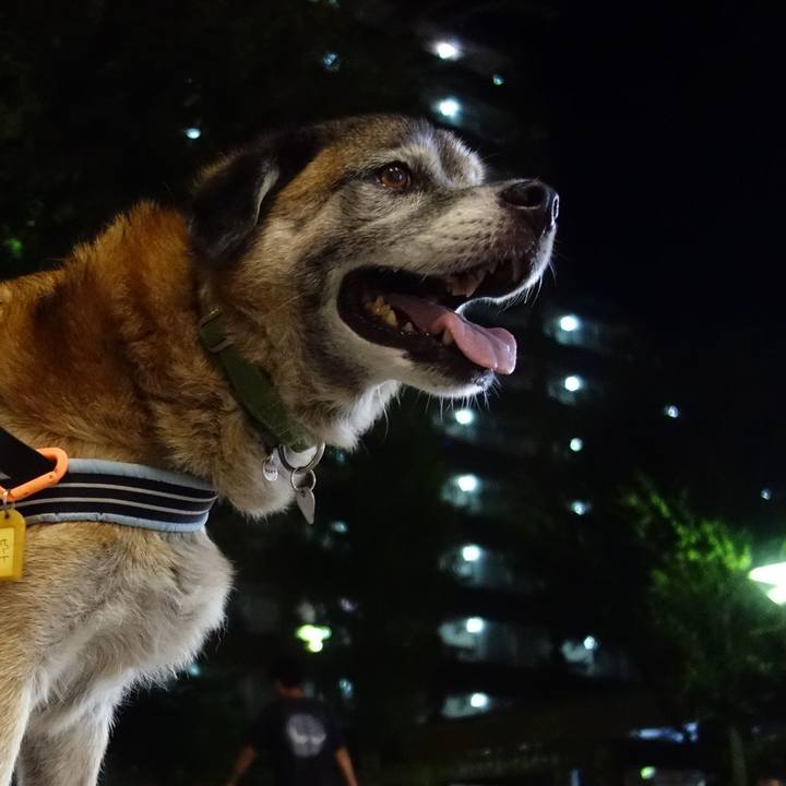 6859d380 2290 4465 a217 bae1456d520f 1568630463382