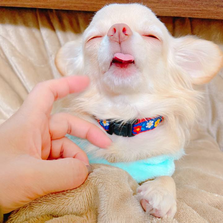 6859eead ba8c 49aa a0b6 ad07085de94c 1638222293156