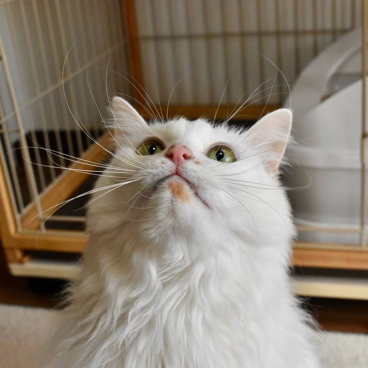 685a14b9 1b64 4088 a3cf b0f7c633a186 1768015011888