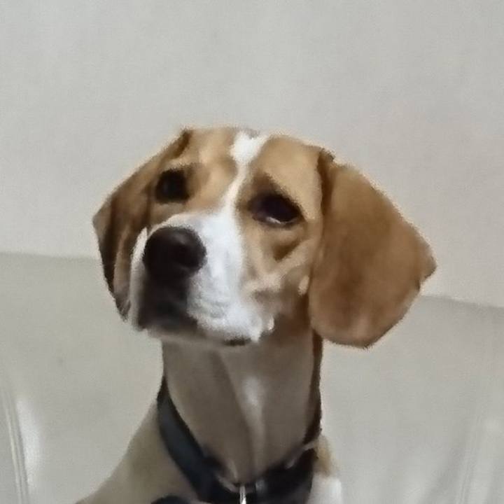 685a197e 3fdd 4aea b59f f9f1551784f7 1568354505281