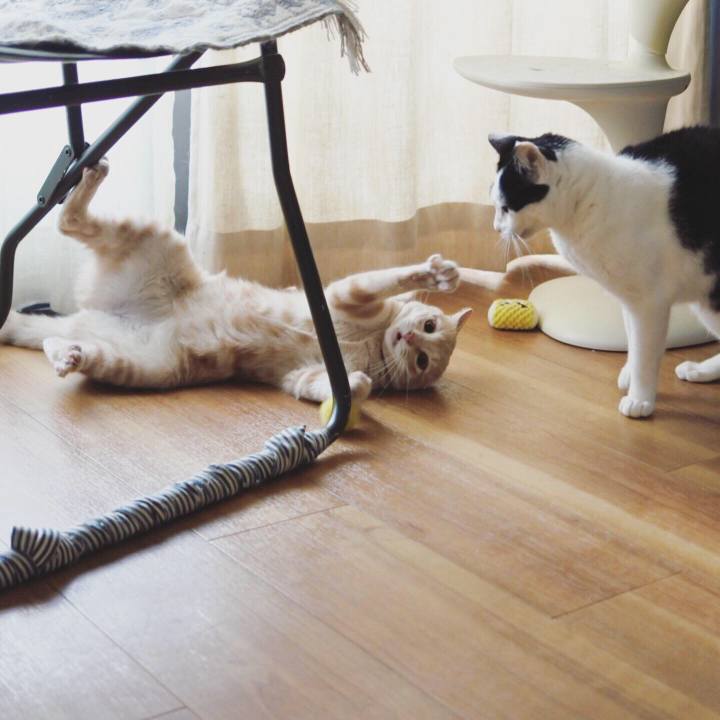 685a32f9 8b5a 49f4 8b79 697a29fdc693 1570346998310