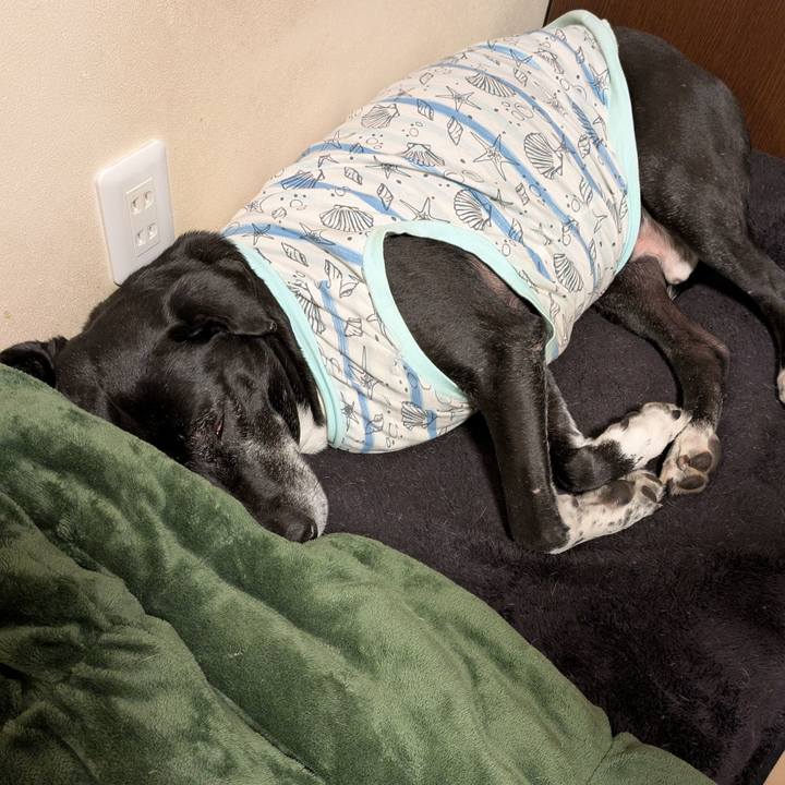 685a9365 3c2c 4053 93ff 8c6278138956 1739151831169