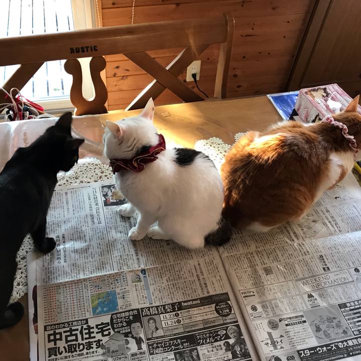 685ac08a 9fa3 42c6 8df5 8380d7d0589d 1569581924467