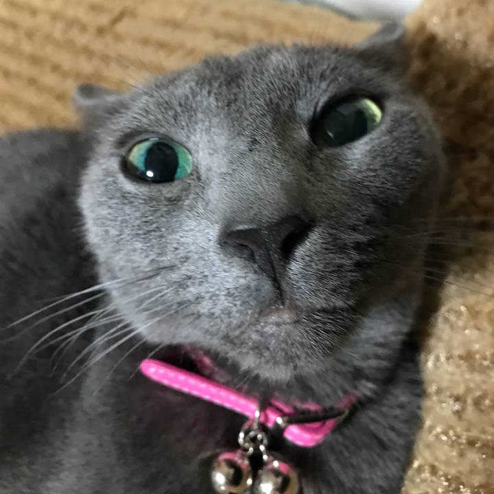 685ac6e9 c60d 4593 bd59 9dd0c94bd392 1523248260899