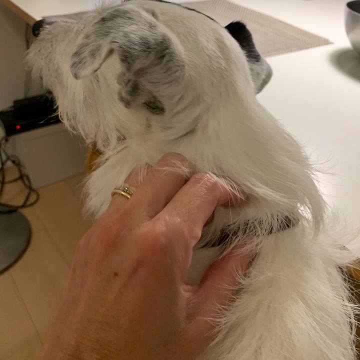 685adf40 a584 4578 9cca 521a3b51c72d 1684929070027