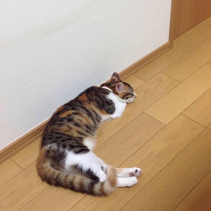 685b5cc4 53df 4155 8c03 e79b919a8aee 1634171354501