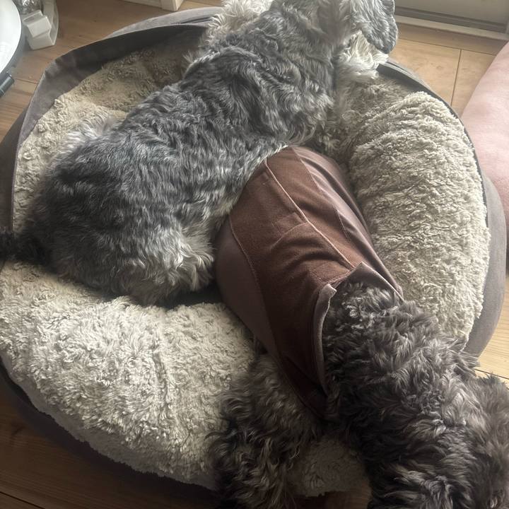 685b827c e75f 44dc 9719 675d3b74bdc2 1739501328979