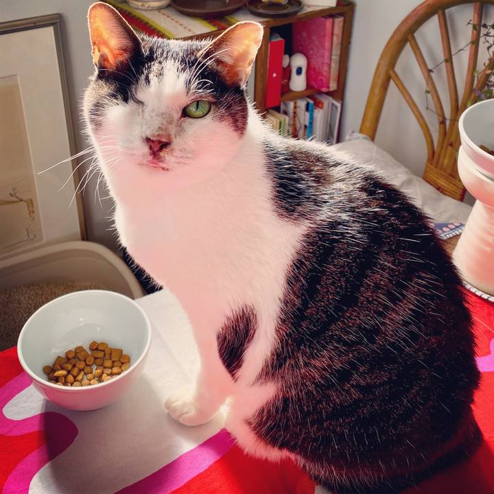 685bce05 4150 4b84 8133 9021d7d77f44 1578196449452