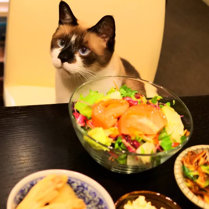 685bf6be e5d0 4b62 b460 4438d599f4e1 1535356234295