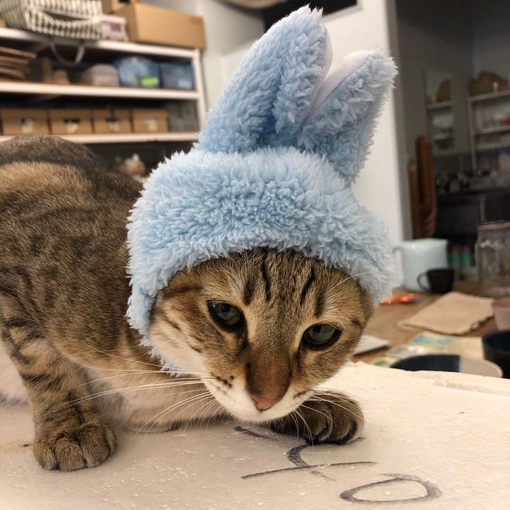 685c453f b5ba 4c2c 83d4 9ee861d04403 1606794650341