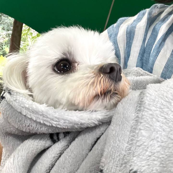 685c7a24 fda9 4d5d a3a7 ca742bd5385a 1668040453496