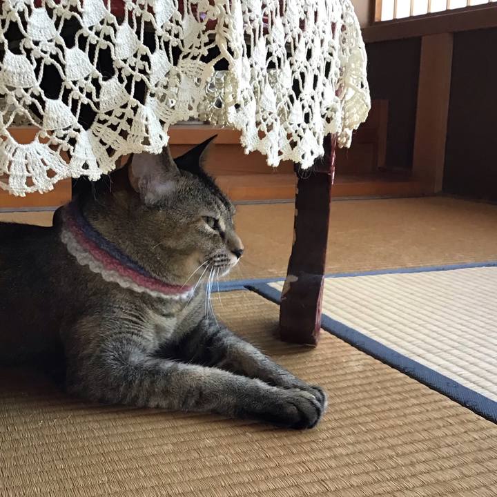 685c8ddb f78d 4a95 94ec 81d7e1108b80 1625976792577