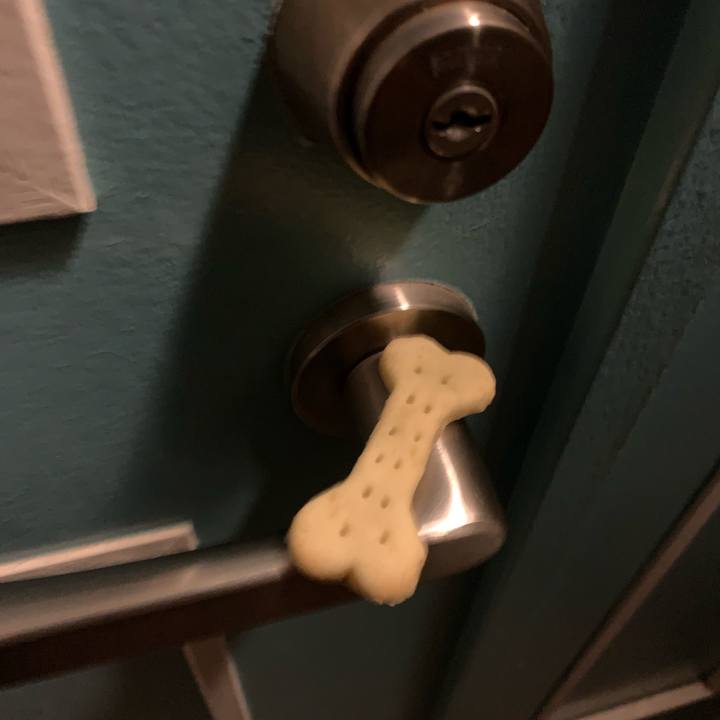 685cc80b 2446 455d 890e 8bedad85b7ed 1698928705398