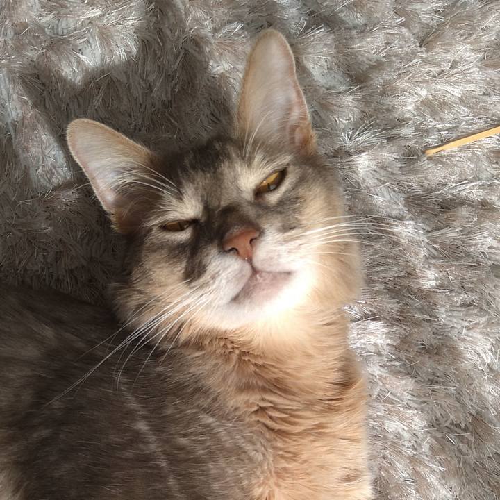 685d2a54 92ad 46ad a53b d9f8d1bda39a 1613901667934