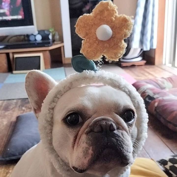 685d3144 d9bb 4013 906c f7bbc9f8b6db 1685937763487