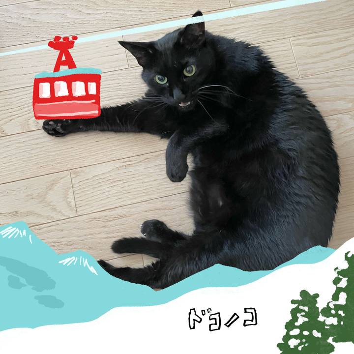 685d5a72 ad1a 44d6 ac77 52d924bdfec5 1706964454658