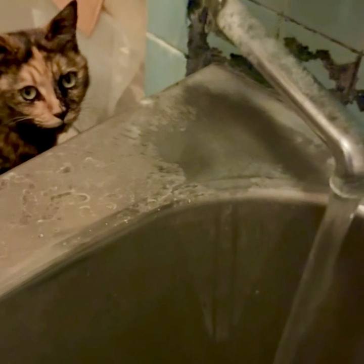 685d64bc e528 48bb a172 e049fe46a645 1762634236692