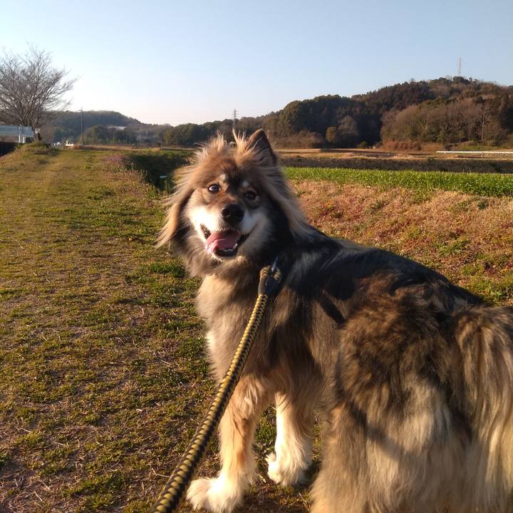 685d6914 f9e0 473a 9192 6a90e15eb22d 1584113674510