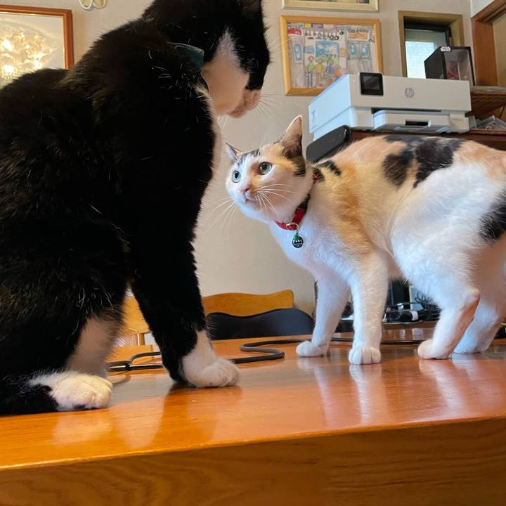 685dc18b d6ee 4b88 8489 731540bcb119 1725411221508