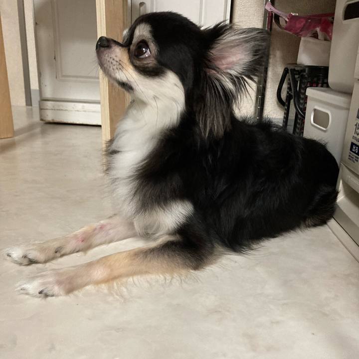 685dd301 d36b 48a6 a5f3 ab0aa3e4b51f 1659798974209