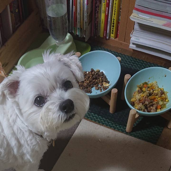 685df318 3eb6 440f 96ae 2ddb6d4b4ace 1661513472804