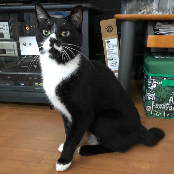 685e13a5 4d05 485f 8e2e 20ad84274dc1 1571026149079