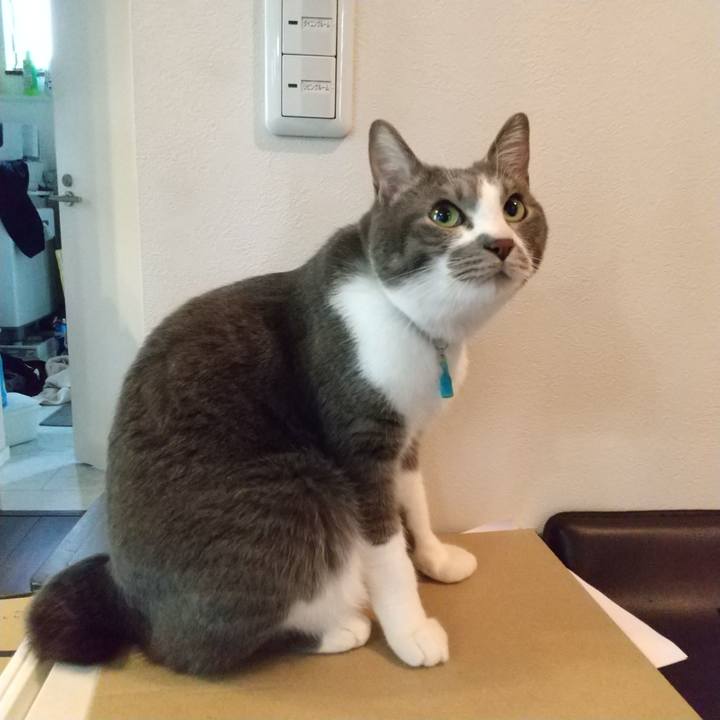 685e2707 eddd 4983 b4a8 087354a0a50e 1650436360462