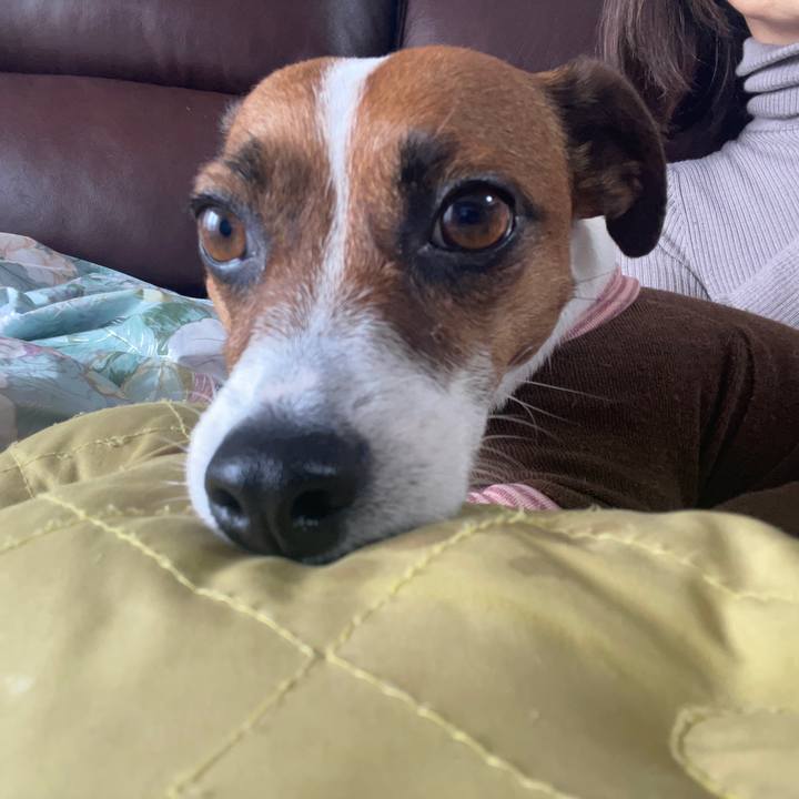 685e3c0a c45d 4b81 813c b7b9265f8a3b 1644112294847