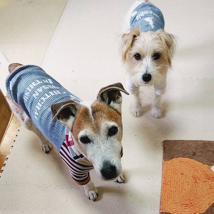 685e60ce f601 45e9 84c4 2254c441274a 1578188351826