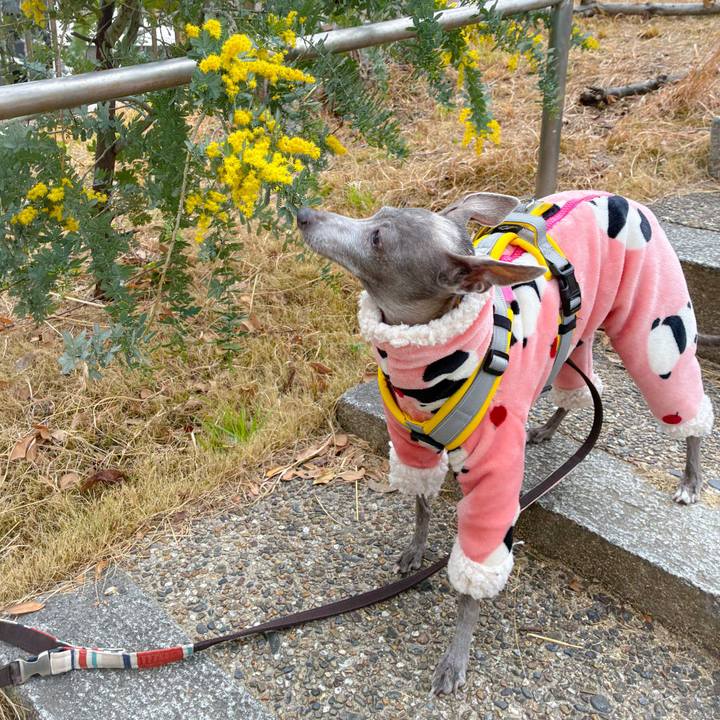 685e93fe 75db 4fa1 82d3 dc5780dbeefe 1773924007652