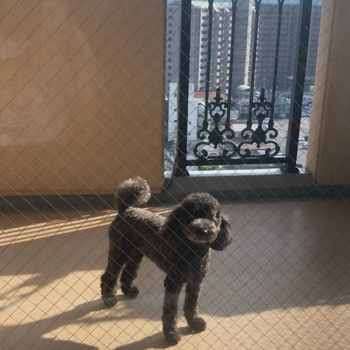 685ec954 9138 4610 a6a4 474b96408ef8 1597649194974