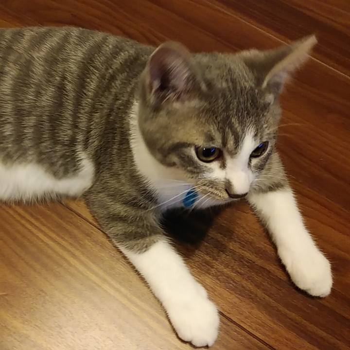 685edc3f 2dad 45d2 ab7d 83295686ba8e 1567386567686