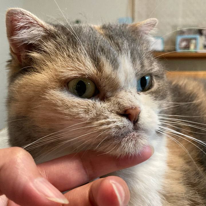 685ee52c 0f59 4237 b374 78cca2bafa2c 1660808256762