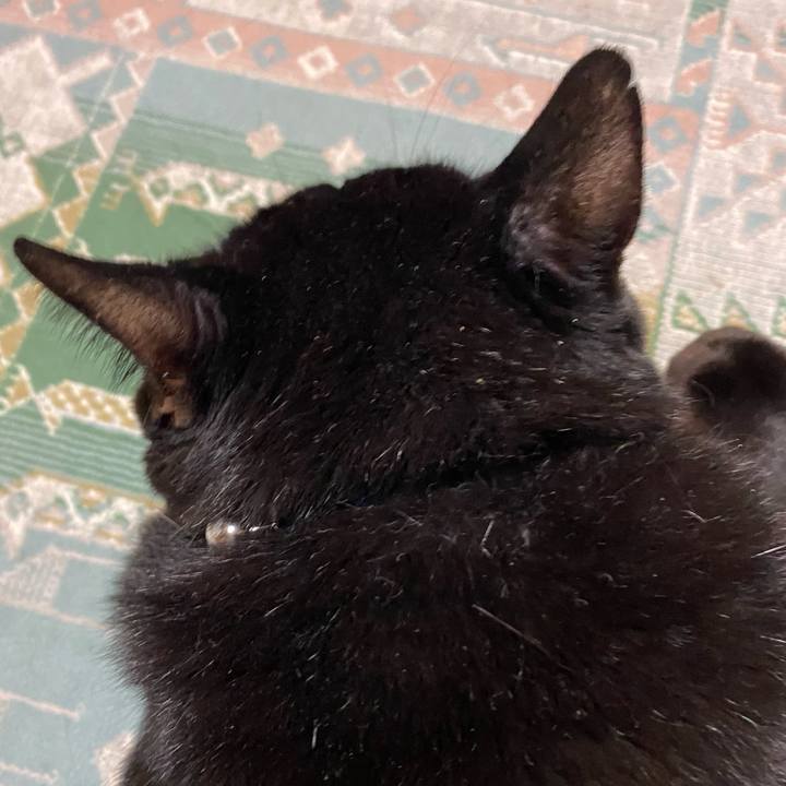 685ee858 1f0d 4dda a142 43bf16b5b2bf 1630237993042