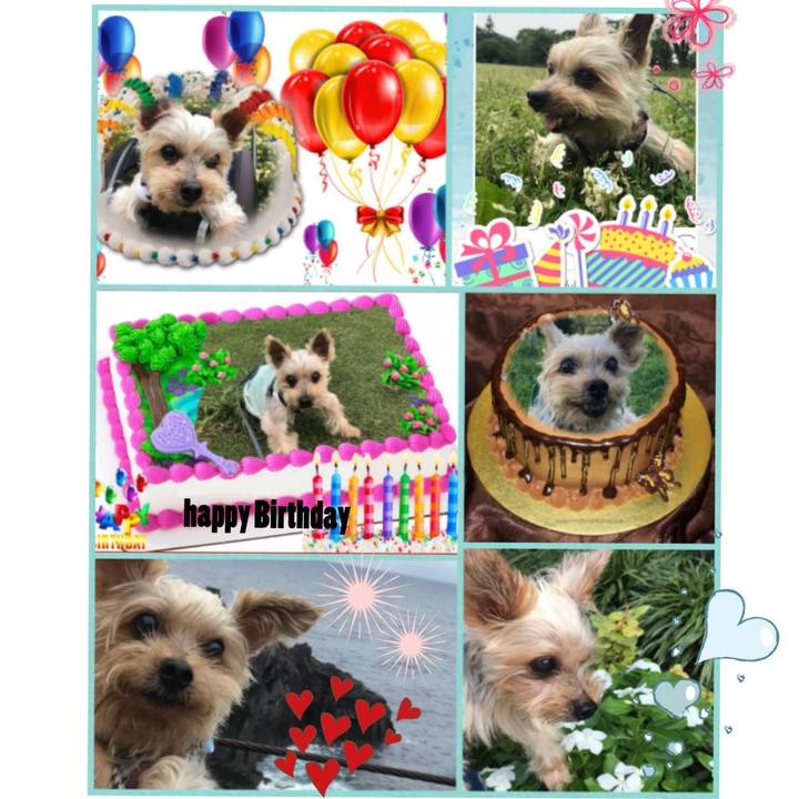 685ef574 4949 4feb 8baa 3a0dfb8891b1 1540050794001