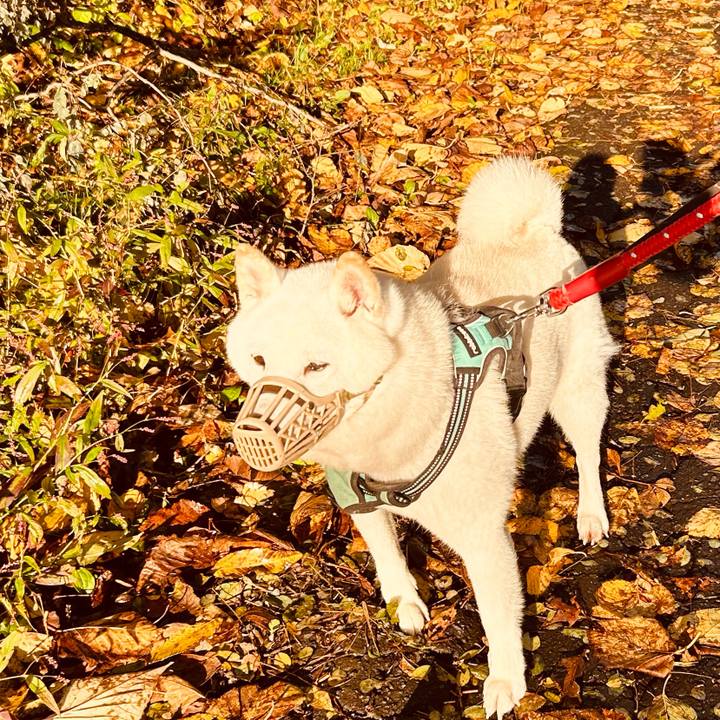 685ef753 f581 42b1 a9d1 b862ed04f410 1697848421441