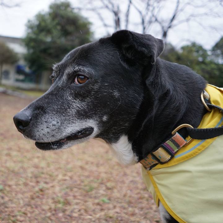 685f0675 bfdc 45d5 a805 e4783cf42e40 1773618904309