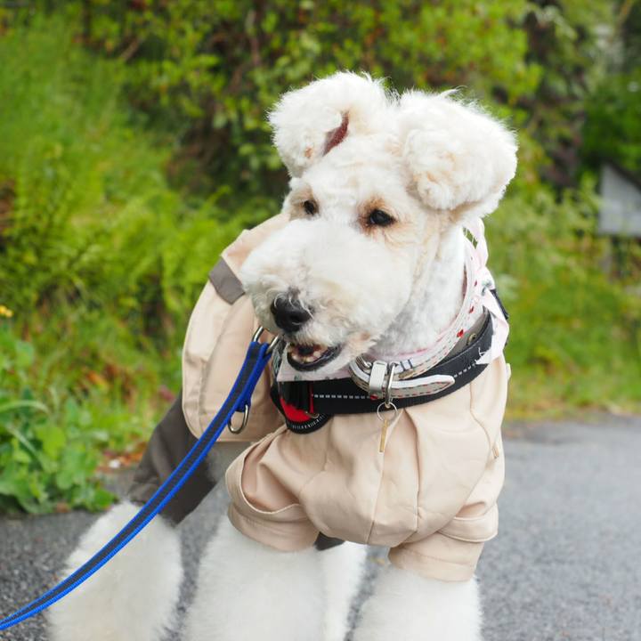 685f1a76 6e20 4e53 aea9 c8d17fc34fbe 1523795722509