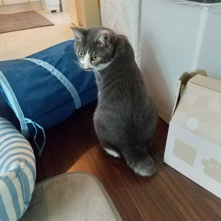 685f3574 0477 4c11 b7ca bdd2865ca5d1 1598742337497