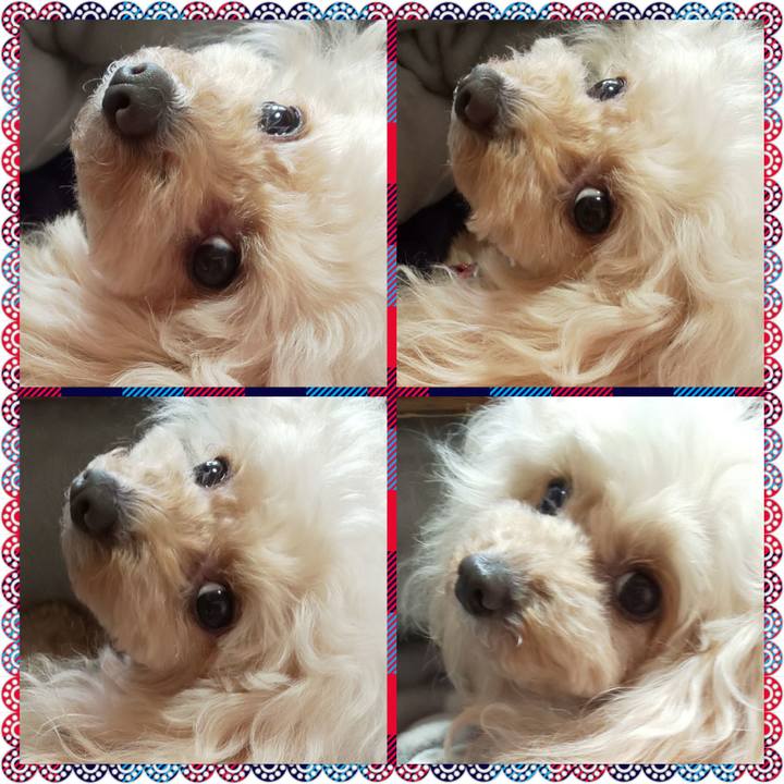 685f6f42 43e1 4a68 9196 4432fbc6f171 1650686946440