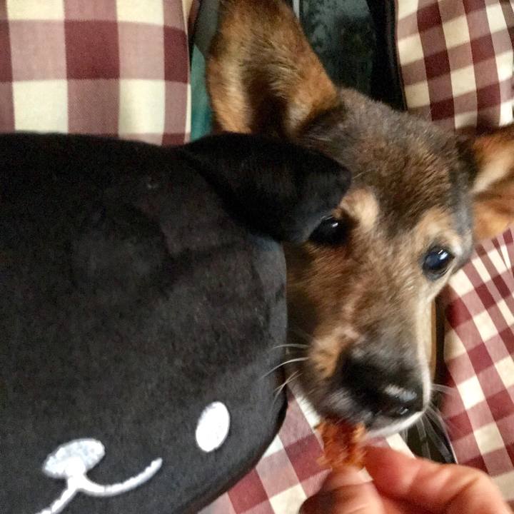 685f8bb8 d83b 4002 891a 11d6aab9e0bc 1537882584732